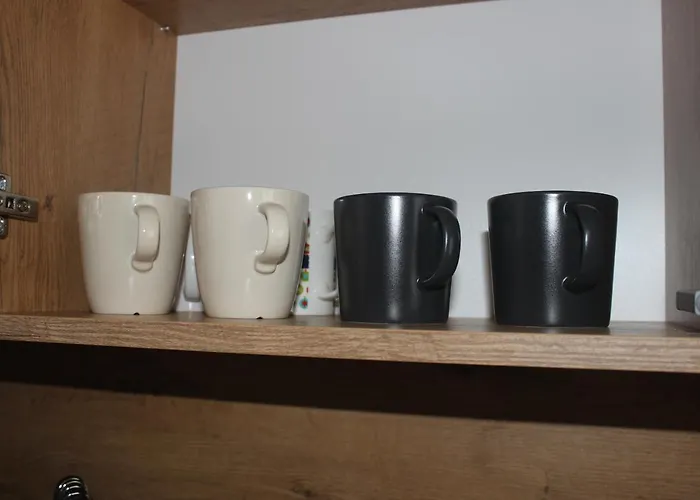 Apartament Chopina