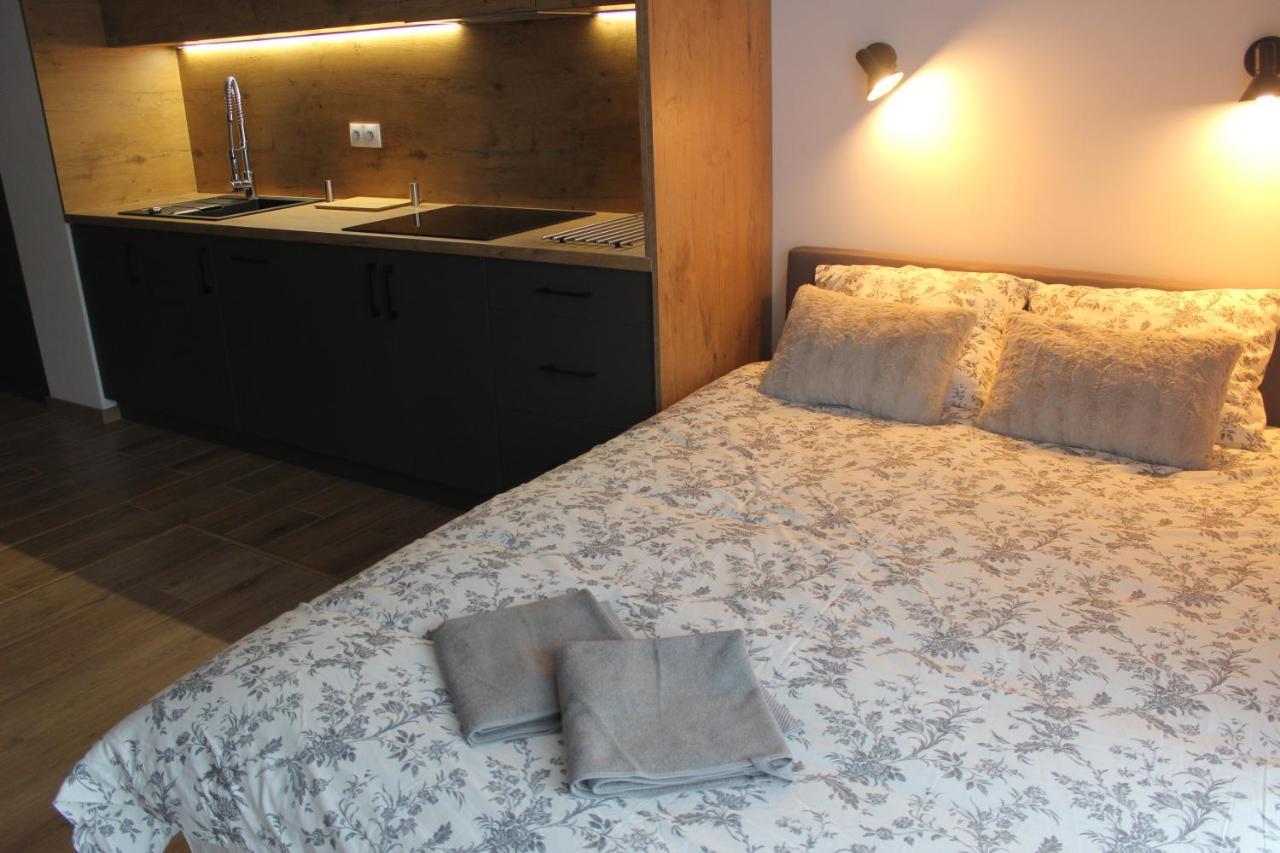 Apartment Chopina *