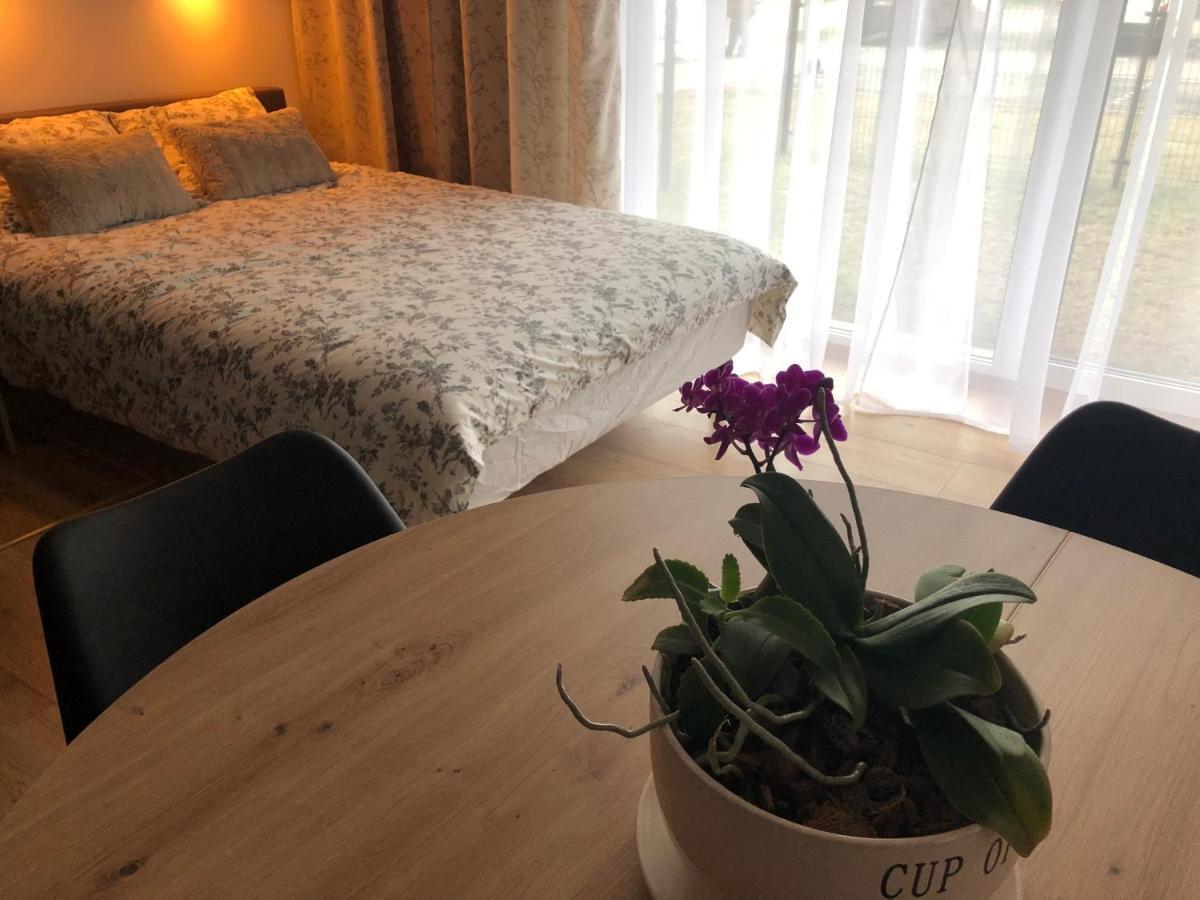 Apartment Chopina *