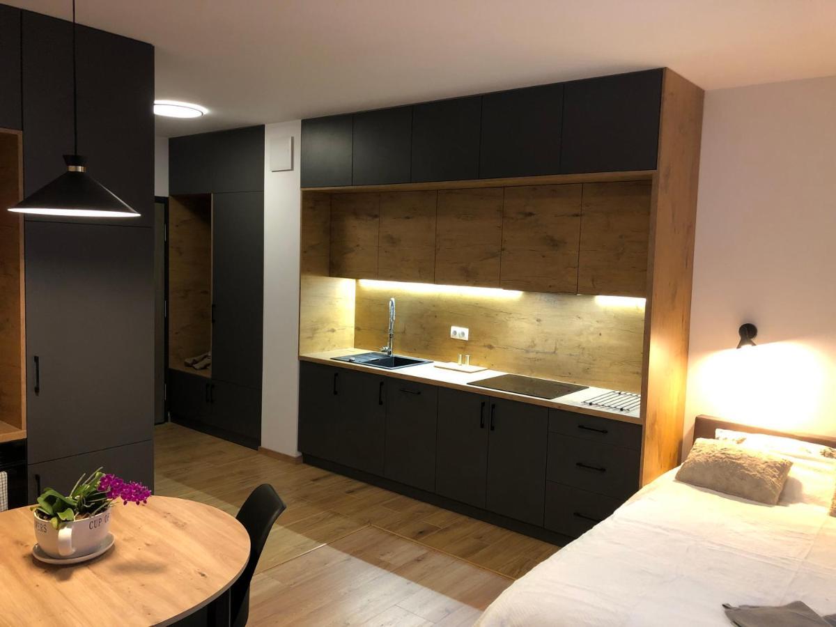 Chopina Apartment
